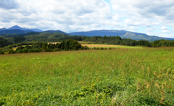 株式会社あづま|青森県から産地直送、とろろ、にんにく等の卸販売